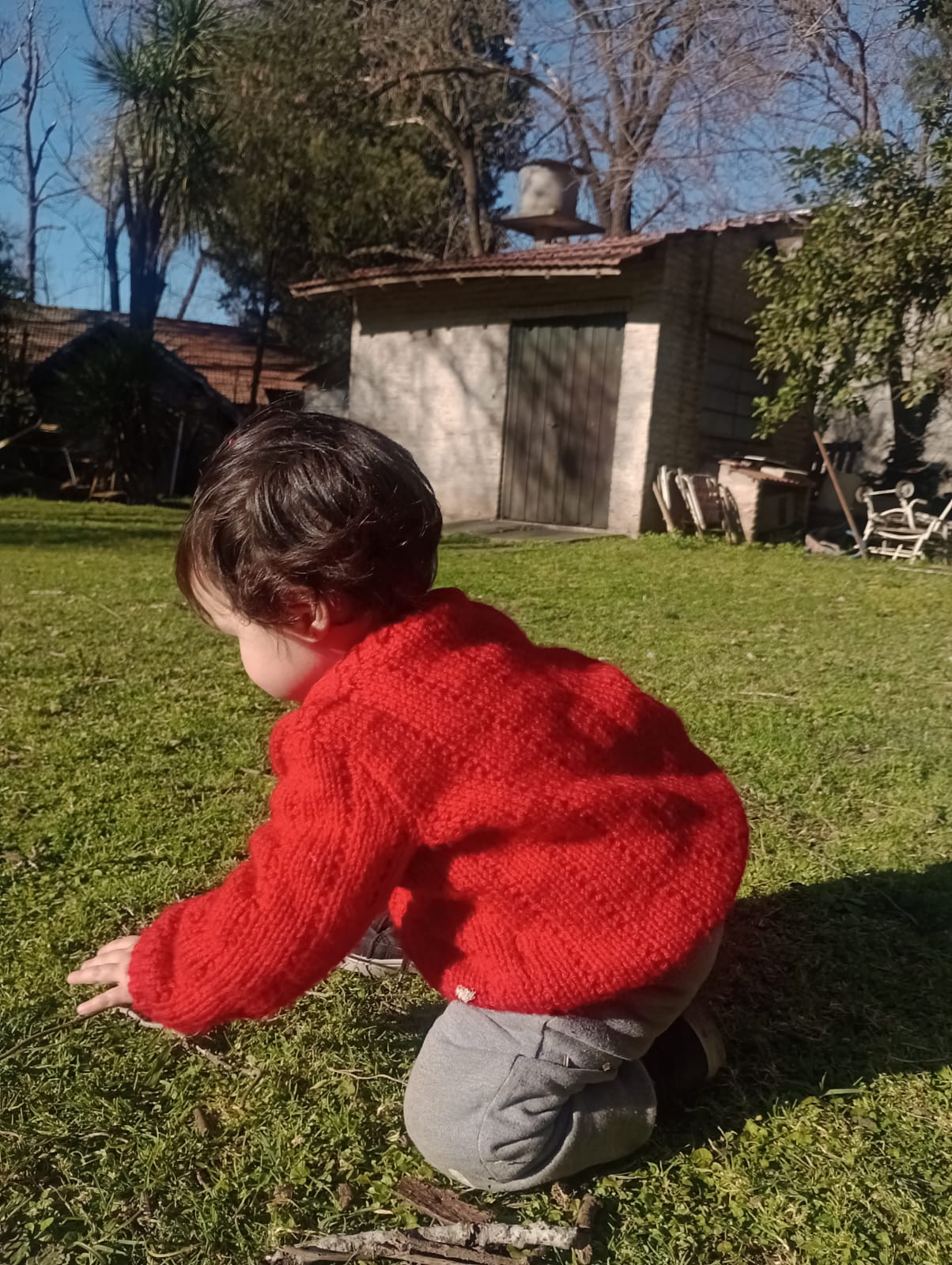 WhatsApp Image 2025-08-24 at 22.03.46.jpeg